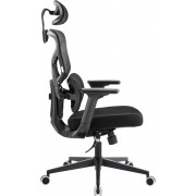 Эргономичное кресло Everprof Omega Black Сетка Черный